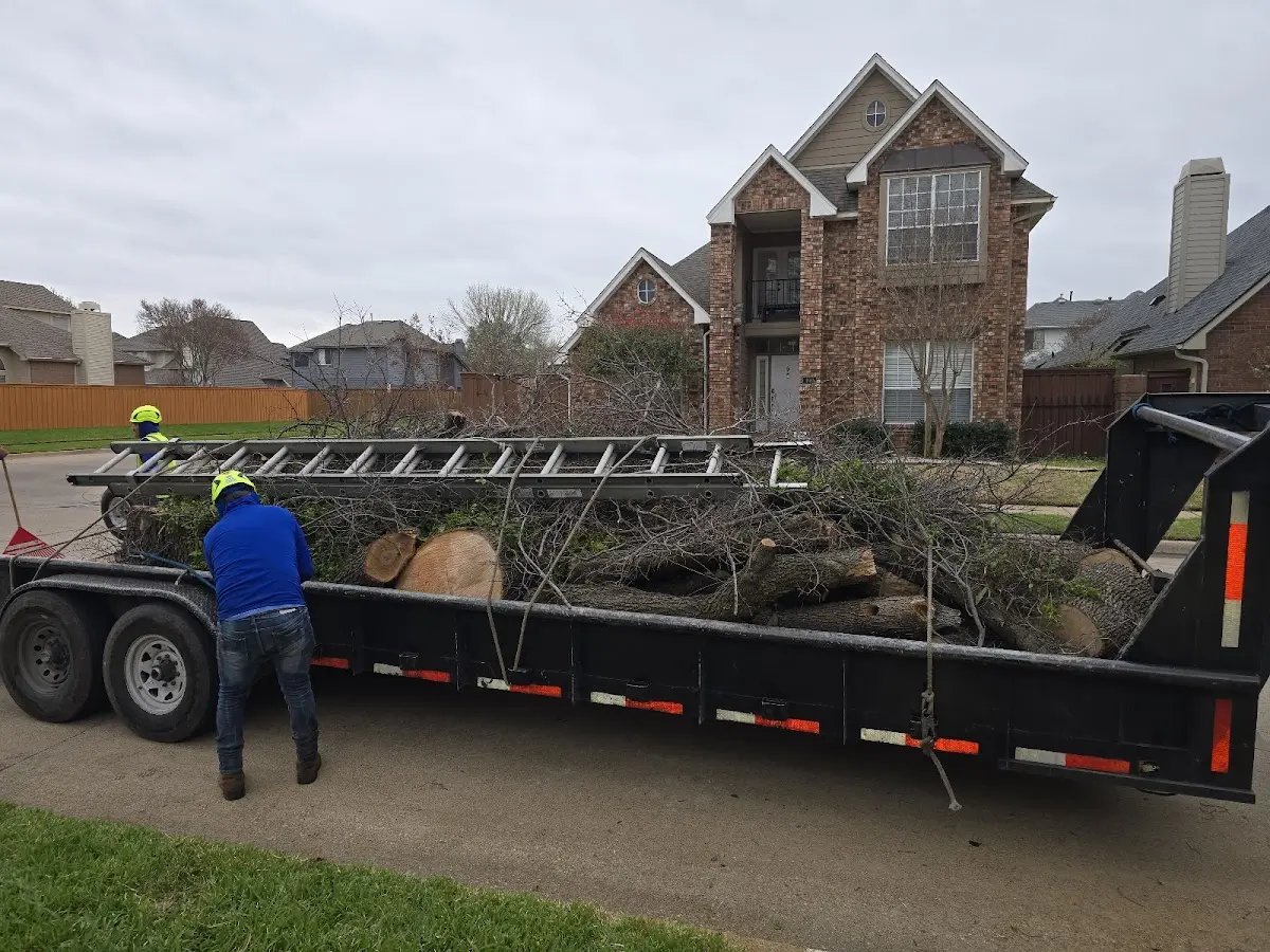 Expert Crown Reduction with proper safety equipment in Forney